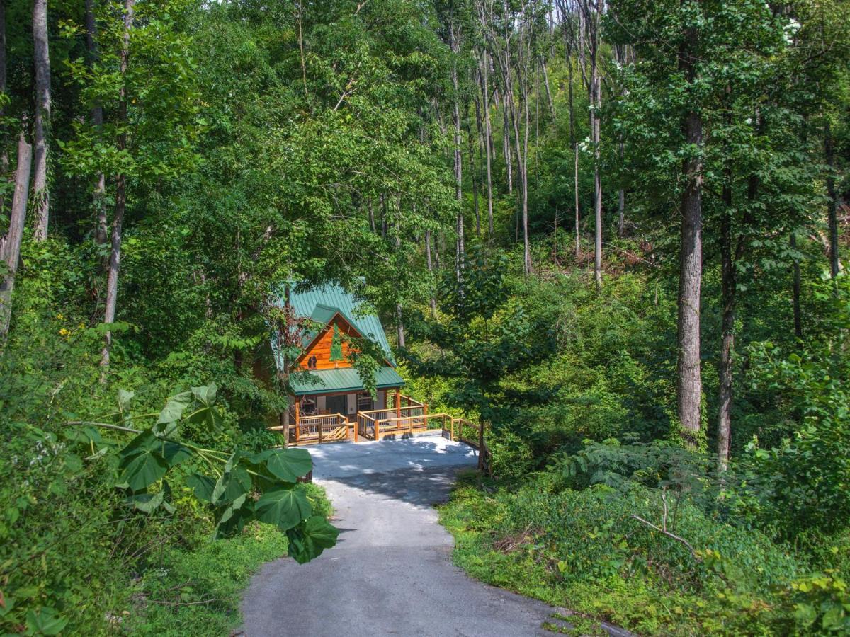 Bearly Hidden Villa Gatlinburg Luaran gambar
