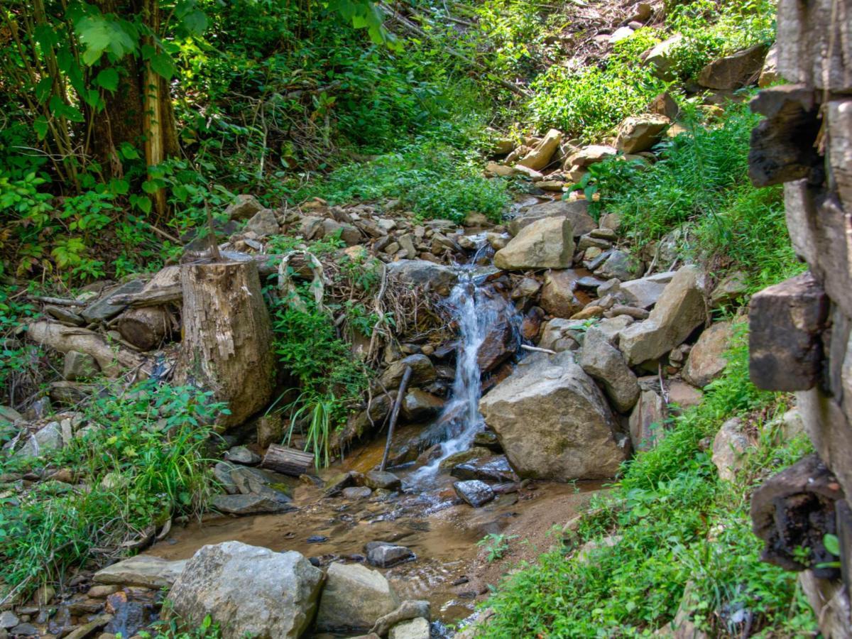 Bearly Hidden Villa Gatlinburg Luaran gambar