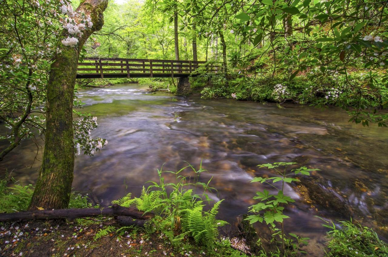 Bearly Hidden Villa Gatlinburg Luaran gambar
